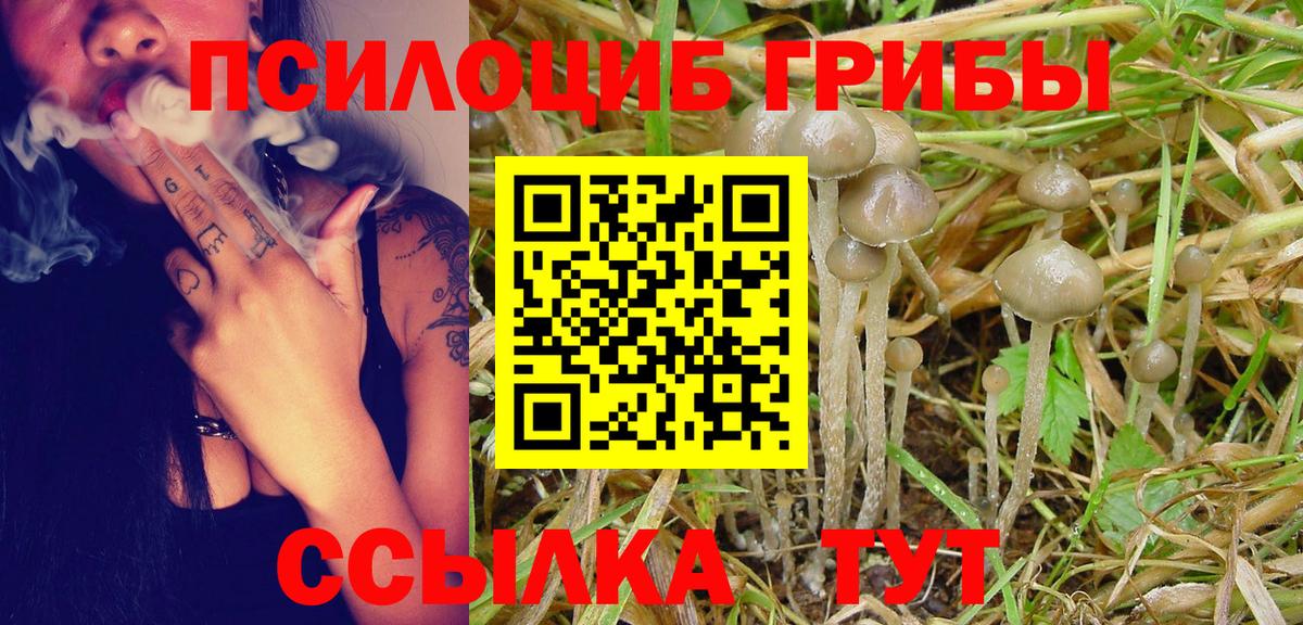 Псилоцибиновые грибы мухоморы Шелехов